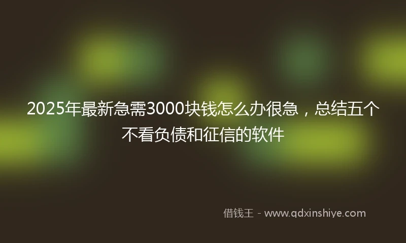 2025年最新急需3000块钱怎么办很急，总结五个不看负债和征信的软件