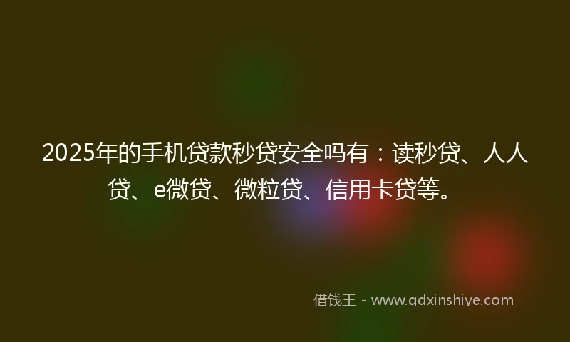 2025年的手机贷款秒贷安全吗有：读秒贷、人人贷、e微贷、微粒贷、信用卡贷等。