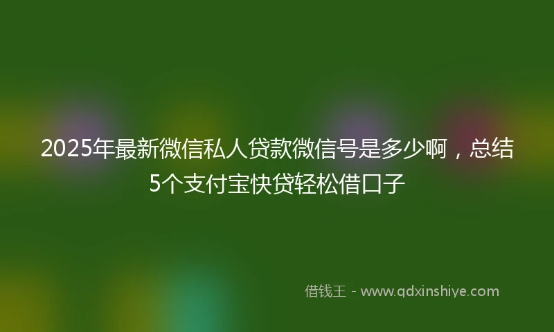 2025年最新微信私人贷款微信号是多少啊，总结5个支付宝快贷轻松借口子