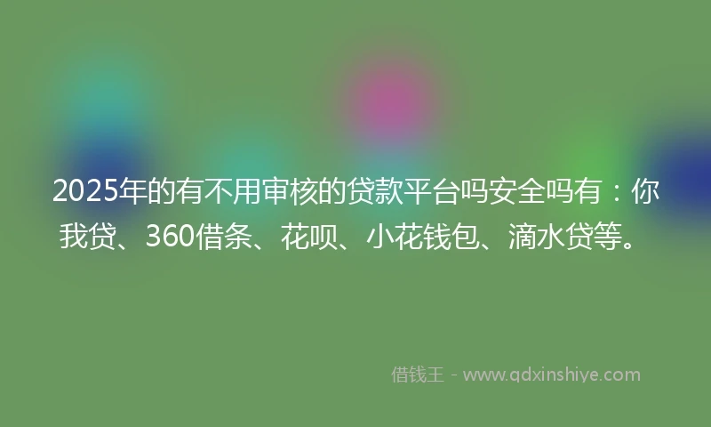 2025年的有不用审核的贷款平台吗安全吗有：你我贷、360借条、花呗、小花钱包、滴水贷等。