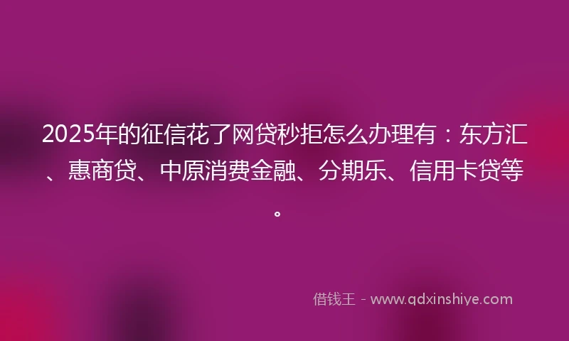 2025年的征信花了网贷秒拒怎么办理有：东方汇、惠商贷、中原消费金融、分期乐、信用卡贷等。