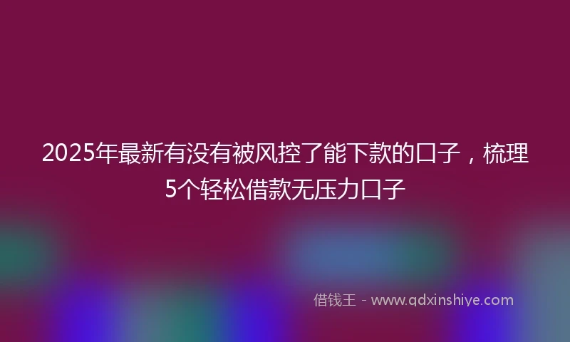 2025年最新有没有被风控了能下款的口子，梳理5个轻松借款无压力口子