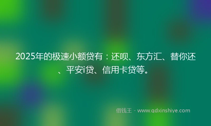 2025年的极速小额贷有：还呗、东方汇、替你还、平安i贷、信用卡贷等。