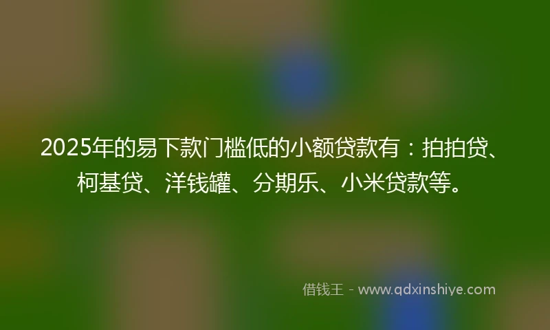 2025年的易下款门槛低的小额贷款有：拍拍贷、柯基贷、洋钱罐、分期乐、小米贷款等。