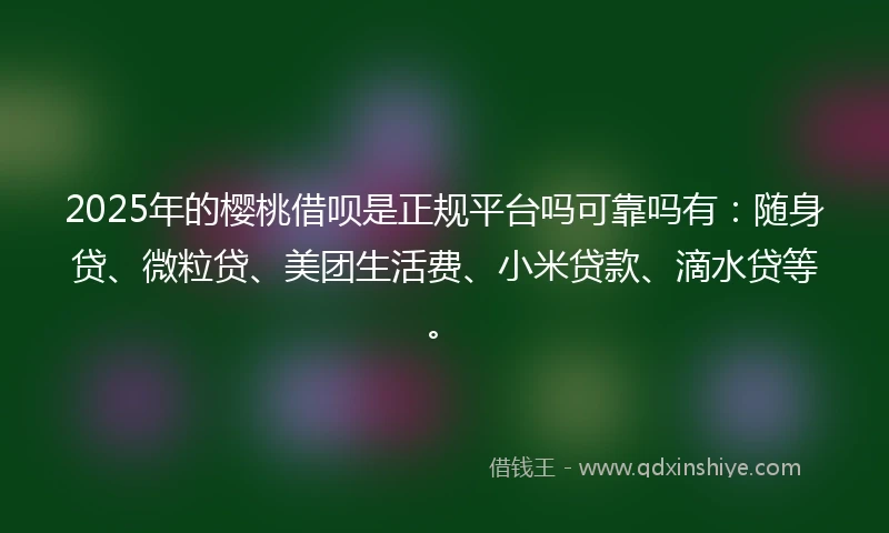 2025年的樱桃借呗是正规平台吗可靠吗有：随身贷、微粒贷、美团生活费、小米贷款、滴水贷等。