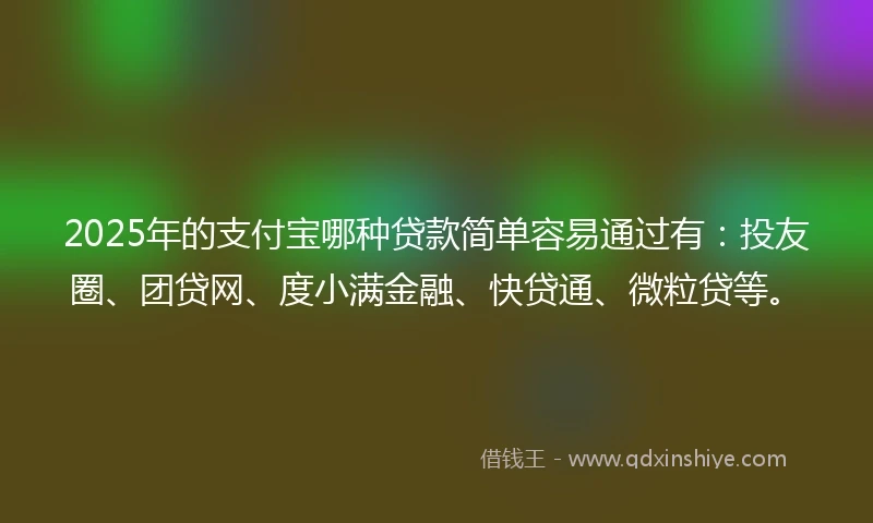 2025年的支付宝哪种贷款简单容易通过有：投友圈、团贷网、度小满金融、快贷通、微粒贷等。