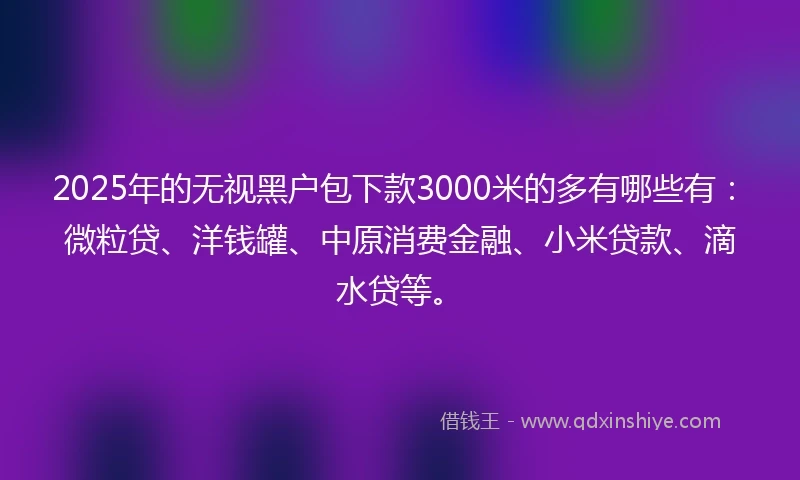 2025年的无视黑户包下款3000米的多有哪些有：微粒贷、洋钱罐、中原消费金融、小米贷款、滴水贷等。