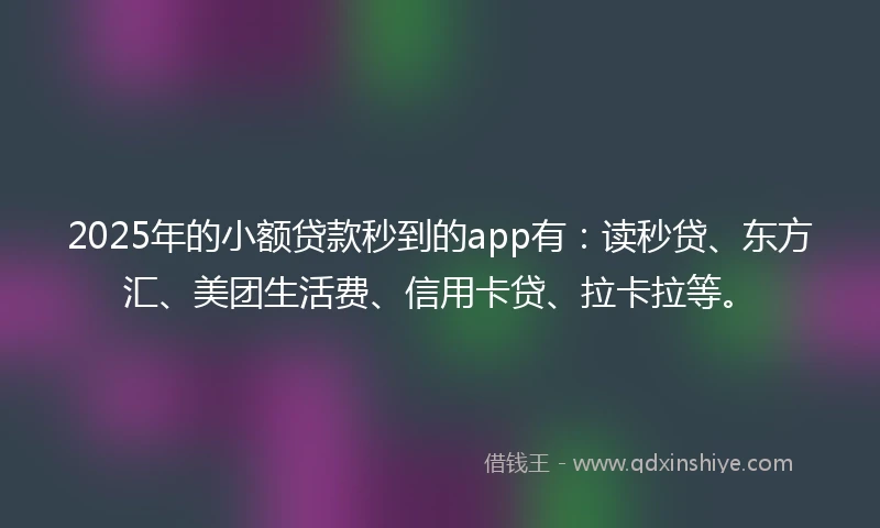 2025年的小额贷款秒到的app有：读秒贷、东方汇、美团生活费、信用卡贷、拉卡拉等。