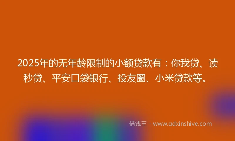 2025年的无年龄限制的小额贷款有：你我贷、读秒贷、平安口袋银行、投友圈、小米贷款等。