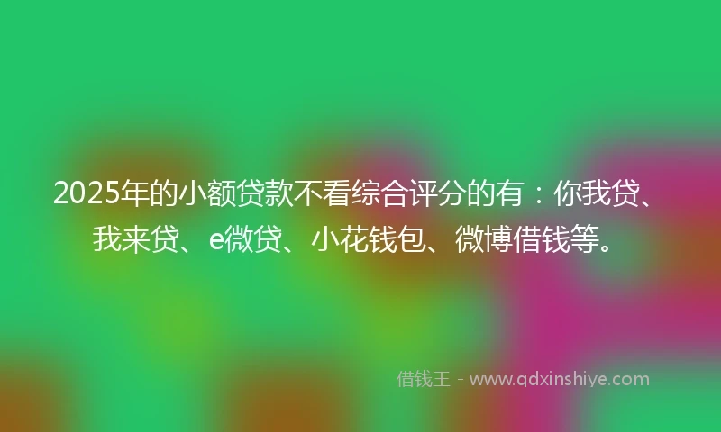 2025年的小额贷款不看综合评分的有：你我贷、我来贷、e微贷、小花钱包、微博借钱等。
