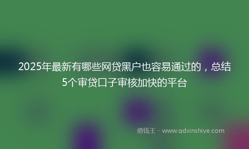 2025年最新有哪些网贷黑户也容易通过的，总结5个审贷口子审核加快的平台