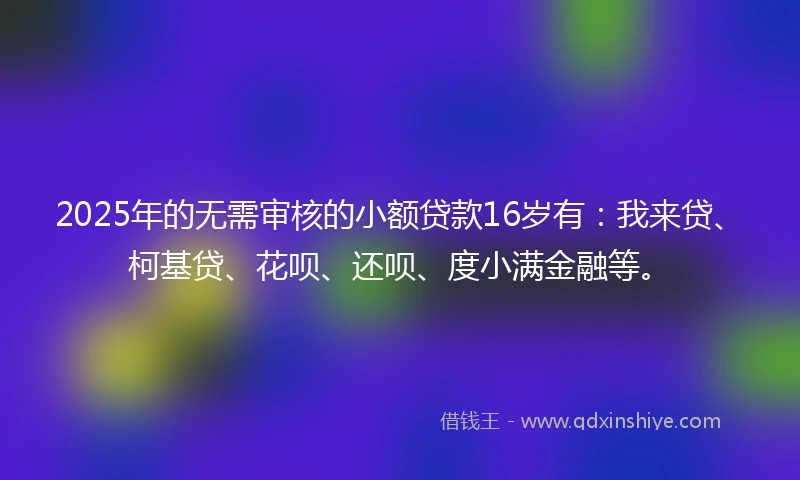 2025年的无需审核的小额贷款16岁有：我来贷、柯基贷、花呗、还呗、度小满金融等。