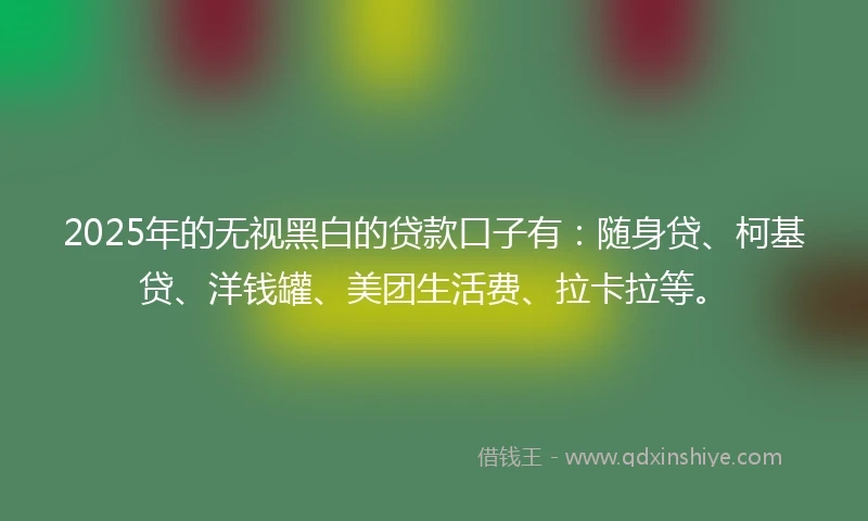 2025年的无视黑白的贷款口子有：随身贷、柯基贷、洋钱罐、美团生活费、拉卡拉等。