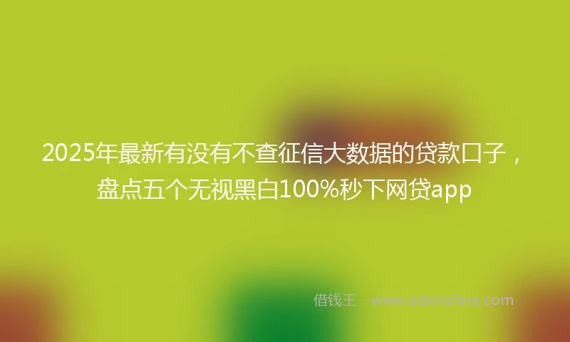 2025年最新有没有不查征信大数据的贷款口子，盘点五个无视黑白100%秒下网贷app