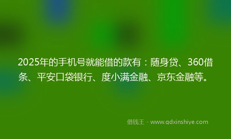 2025年的手机号就能借的款有：随身贷、360借条、平安口袋银行、度小满金融、京东金融等。