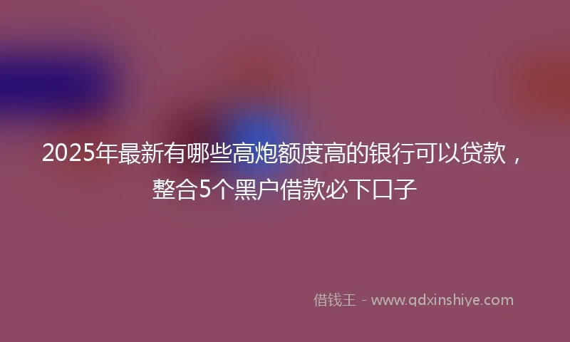 2025年最新有哪些高炮额度高的银行可以贷款，整合5个黑户借款必下口子