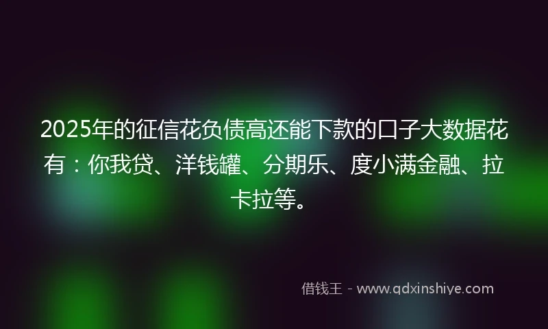 2025年的征信花负债高还能下款的口子大数据花有：你我贷、洋钱罐、分期乐、度小满金融、拉卡拉等。