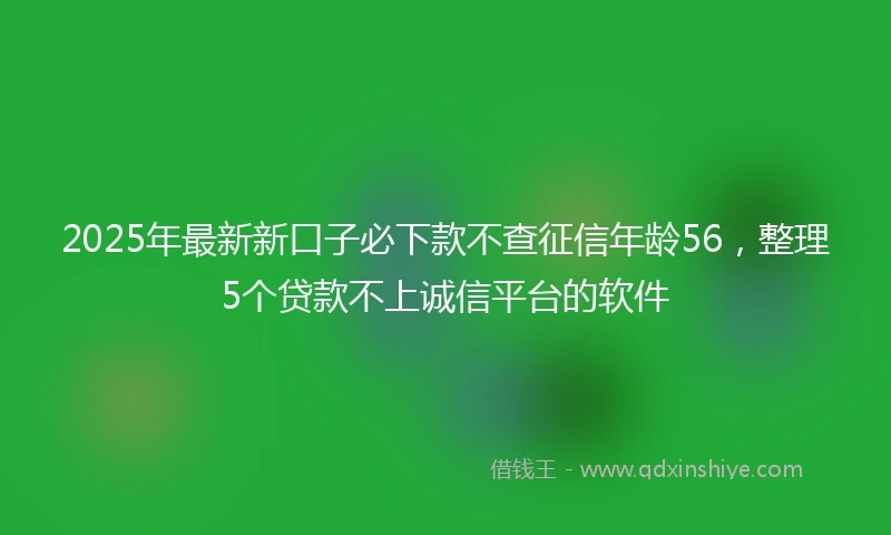2025年最新新口子必下款不查征信年龄56，整理5个贷款不上诚信平台的软件