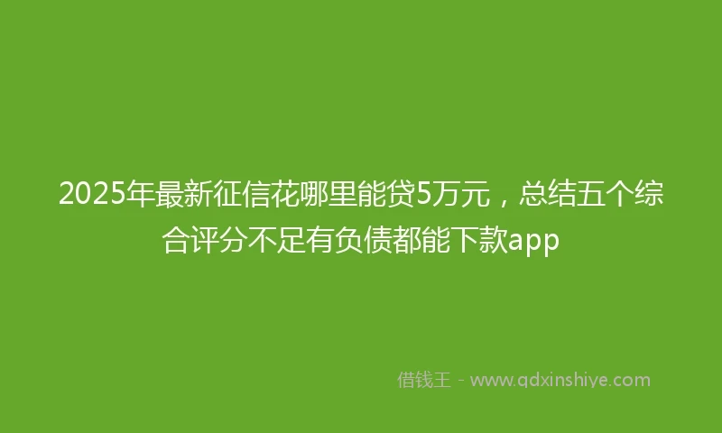 2025年最新征信花哪里能贷5万元，总结五个综合评分不足有负债都能下款app