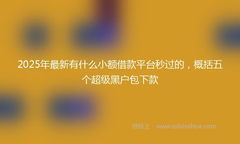 2025年最新有什么小额借款平台秒过的，概括五个超级黑户包下款
