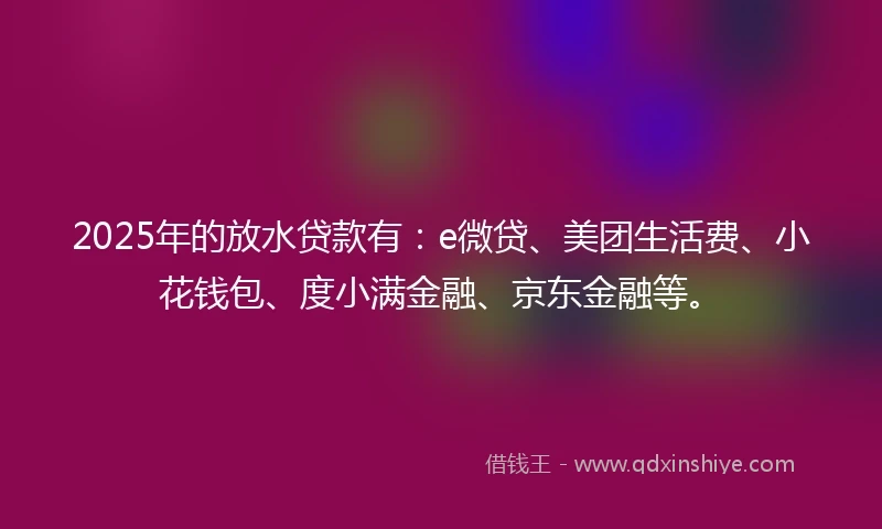 2025年的放水贷款有：e微贷、美团生活费、小花钱包、度小满金融、京东金融等。