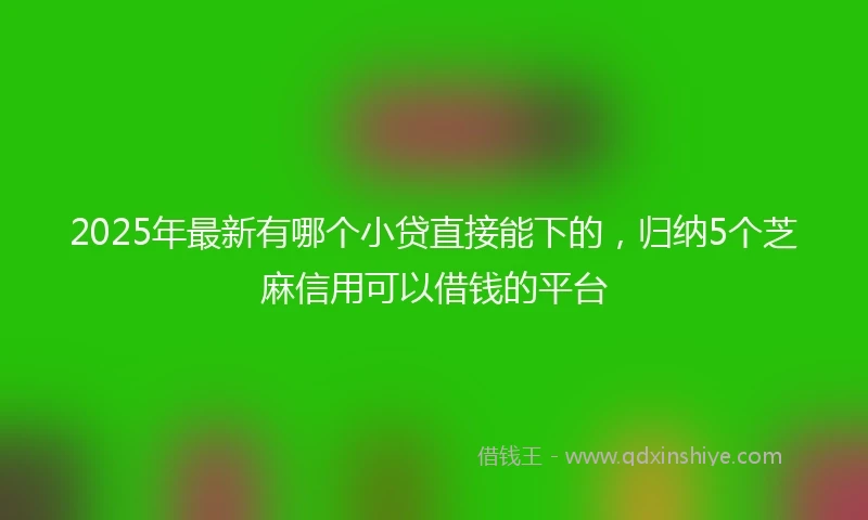 2025年最新有哪个小贷直接能下的，归纳5个芝麻信用可以借钱的平台