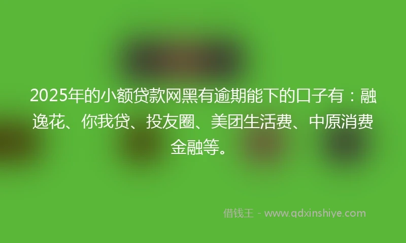 2025年的小额贷款网黑有逾期能下的口子有：融逸花、你我贷、投友圈、美团生活费、中原消费金融等。