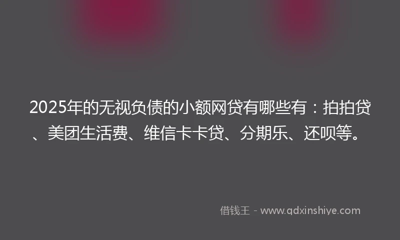 2025年的无视负债的小额网贷有哪些有：拍拍贷、美团生活费、维信卡卡贷、分期乐、还呗等。