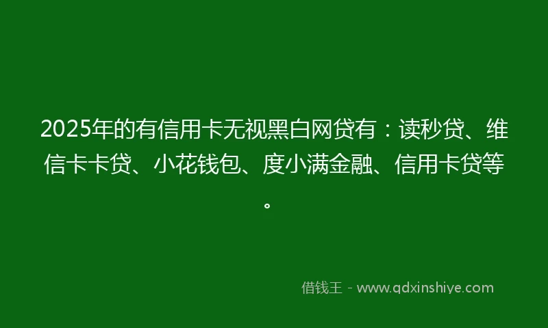 2025年的有信用卡无视黑白网贷有：读秒贷、维信卡卡贷、小花钱包、度小满金融、信用卡贷等。