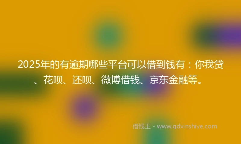 2025年的有逾期哪些平台可以借到钱有：你我贷、花呗、还呗、微博借钱、京东金融等。