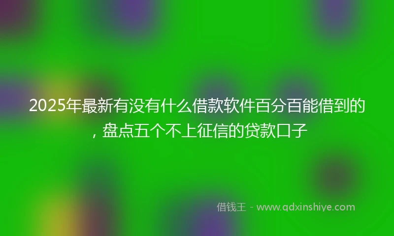 2025年最新有没有什么借款软件百分百能借到的，盘点五个不上征信的贷款口子