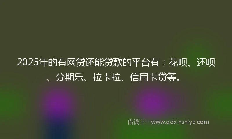 2025年的有网贷还能贷款的平台有：花呗、还呗、分期乐、拉卡拉、信用卡贷等。