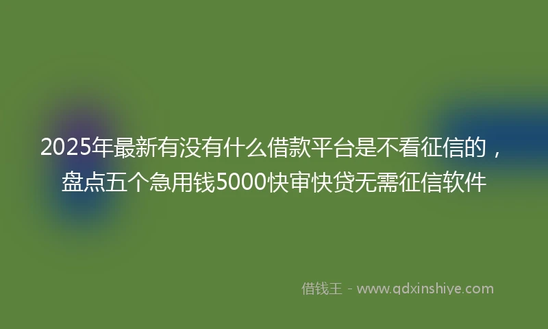 2025年最新有没有什么借款平台是不看征信的，盘点五个急用钱5000快审快贷无需征信软件