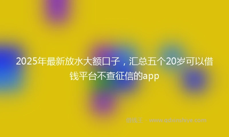 2025年最新放水大额口子，汇总五个20岁可以借钱平台不查征信的app