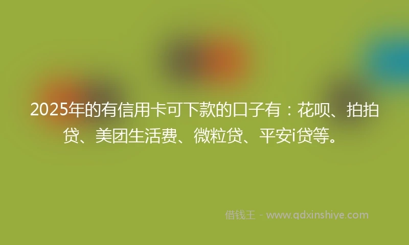 2025年的有信用卡可下款的口子有：花呗、拍拍贷、美团生活费、微粒贷、平安i贷等。