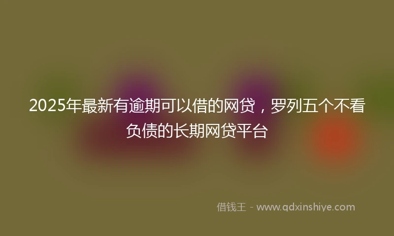 2025年最新有逾期可以借的网贷，罗列五个不看负债的长期网贷平台
