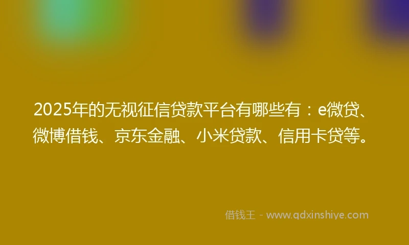 2025年的无视征信贷款平台有哪些有：e微贷、微博借钱、京东金融、小米贷款、信用卡贷等。