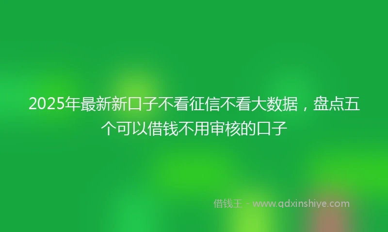 2025年最新新口子不看征信不看大数据，盘点五个可以借钱不用审核的口子