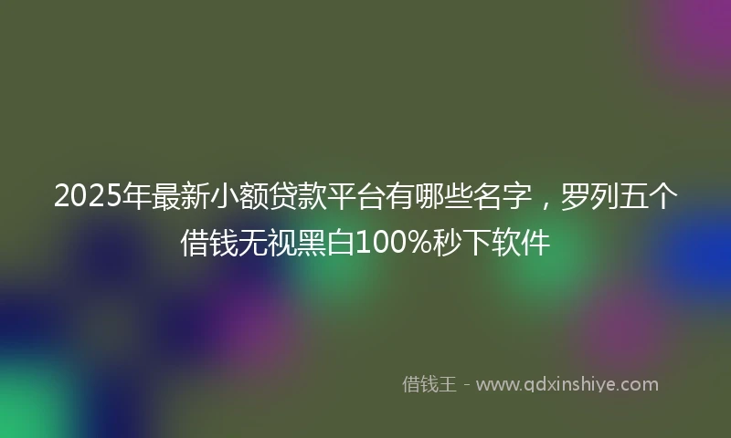 2025年最新小额贷款平台有哪些名字，罗列五个借钱无视黑白100%秒下软件