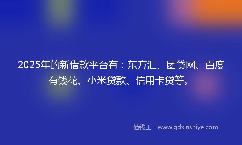 2025年的新借款平台有：东方汇、团贷网、百度有钱花、小米贷款、信用卡贷等。