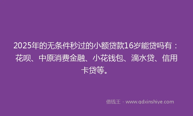 2025年的无条件秒过的小额贷款16岁能贷吗有：花呗、中原消费金融、小花钱包、滴水贷、信用卡贷等。