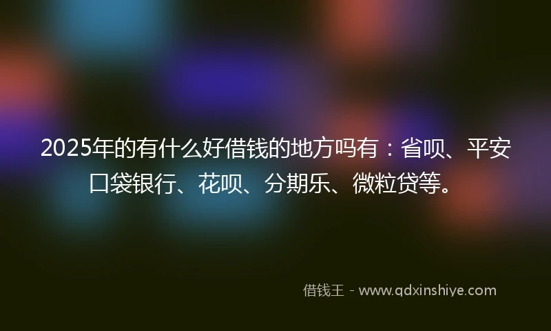 2025年的有什么好借钱的地方吗有：省呗、平安口袋银行、花呗、分期乐、微粒贷等。