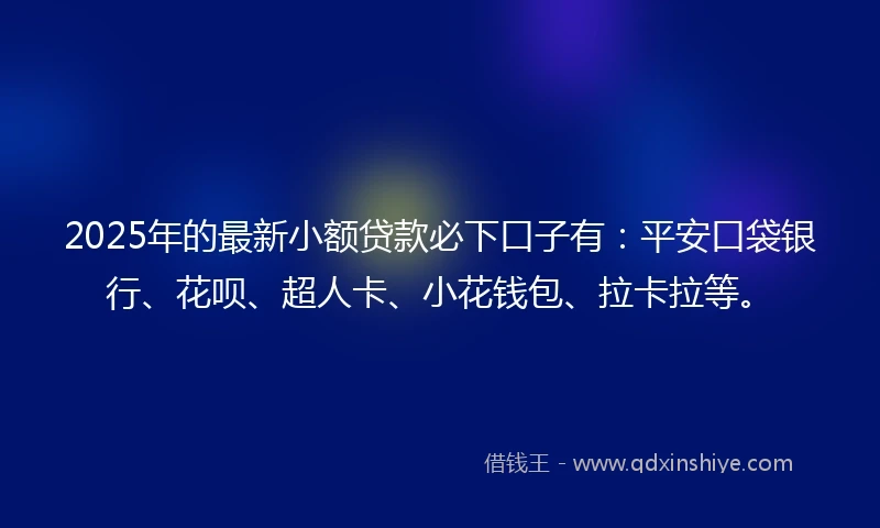 2025年的最新小额贷款必下口子有：平安口袋银行、花呗、超人卡、小花钱包、拉卡拉等。