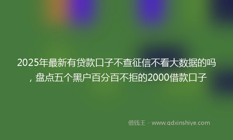 2025年最新有贷款口子不查征信不看大数据的吗，盘点五个黑户百分百不拒的2000借款口子