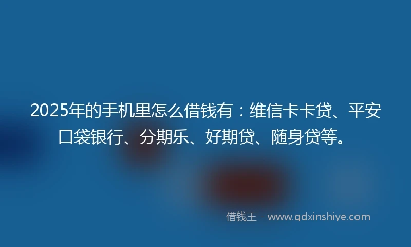 2025年的手机里怎么借钱有：维信卡卡贷、平安口袋银行、分期乐、好期贷、随身贷等。