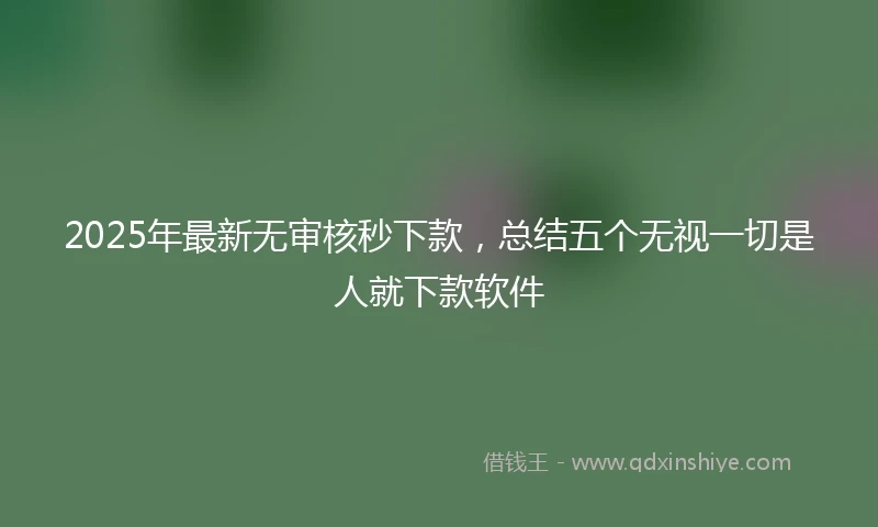 2025年最新无审核秒下款，总结五个无视一切是人就下款软件