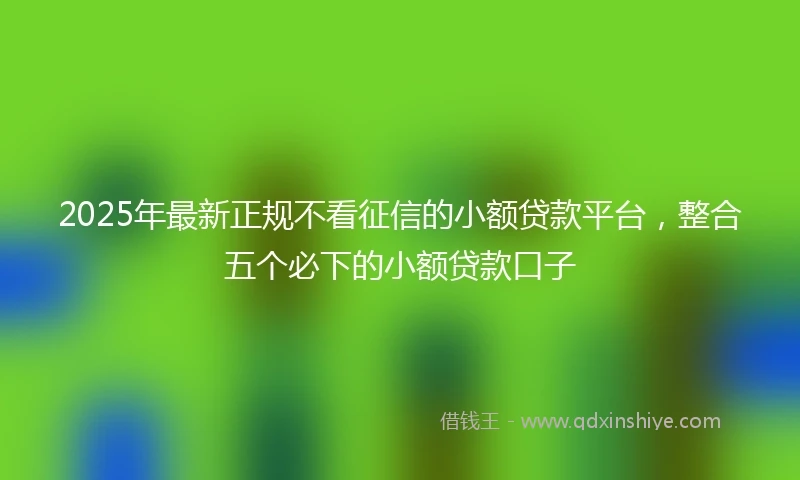 2025年最新正规不看征信的小额贷款平台，整合五个必下的小额贷款口子