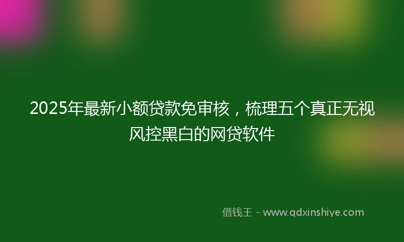 2025年最新小额贷款免审核，梳理五个真正无视风控黑白的网贷软件
