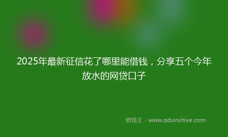 2025年最新征信花了哪里能借钱，分享五个今年放水的网贷口子