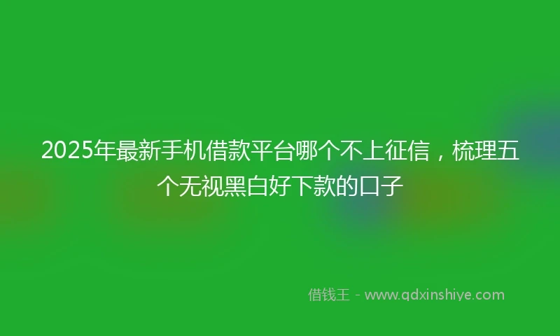 2025年最新手机借款平台哪个不上征信，梳理五个无视黑白好下款的口子